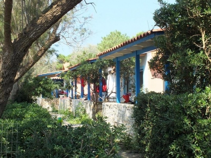 zobacz camping - zdjęcie 24