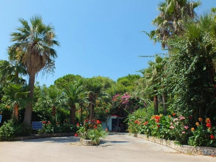 zobacz camping - zdjęcie 19