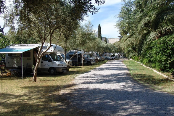 zobacz camping - zdjęcie 9