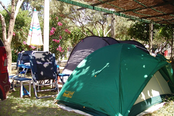 zobacz camping - zdjęcie 4