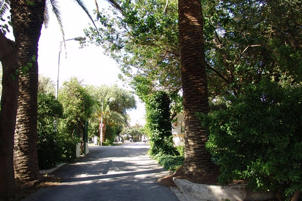 Campsite Athens - zdjęcie 1