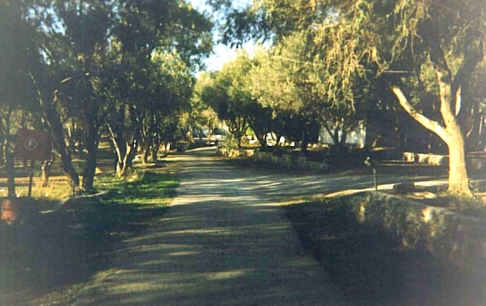 Campsite Ayannis - zdjęcie 2