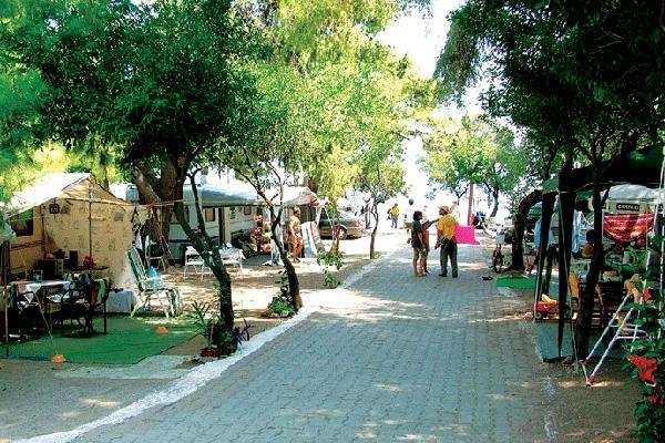 zobacz camping - zdjęcie 14