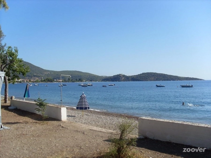 zobacz camping - zdjęcie 9