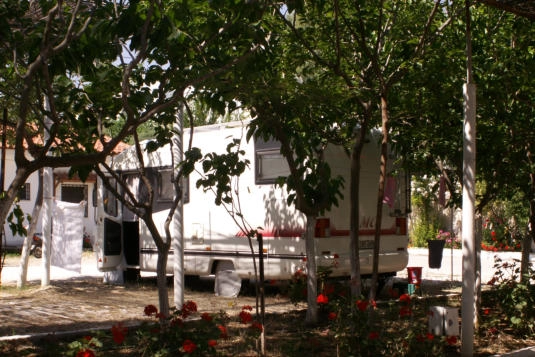 Campsite Blue Dolphin - zdjęcie 3