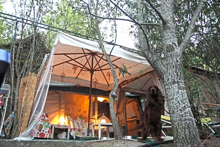 zobacz camping - zdjęcie 22