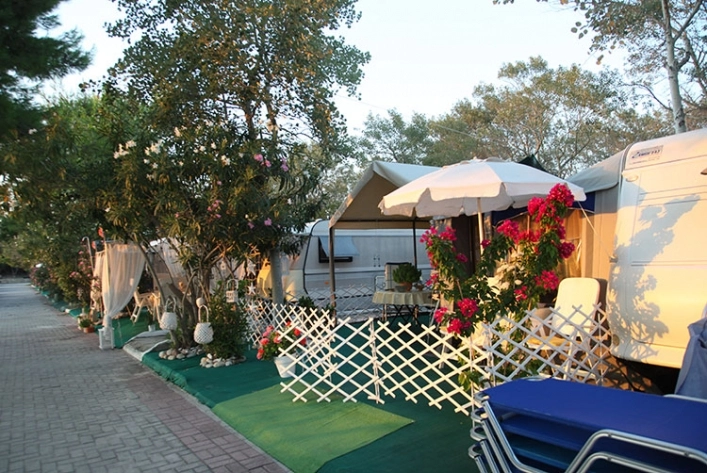 zobacz camping - zdjęcie 11