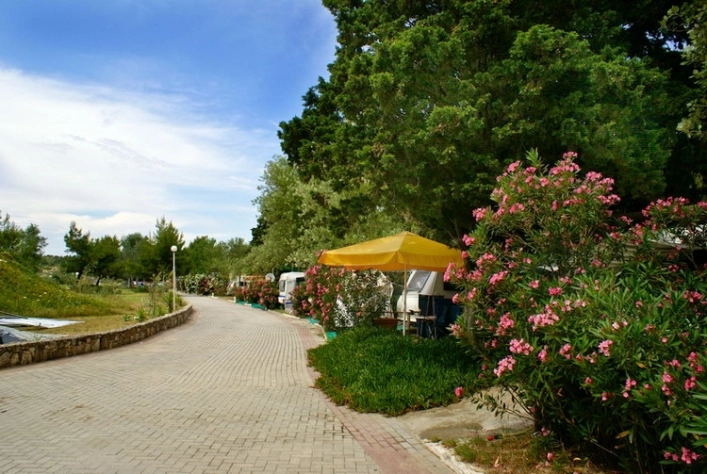 zobacz camping - zdjęcie 2