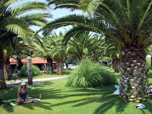 zobacz camping - zdjęcie 10