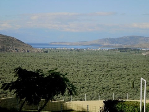 zobacz camping - zdjęcie 11