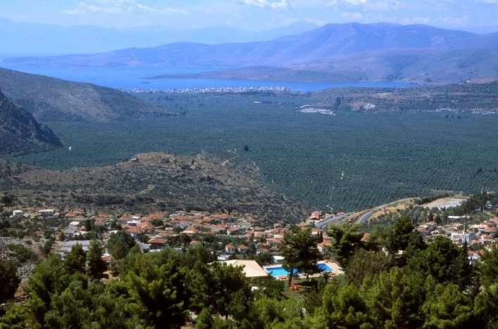 Campsite Delphi - zdjęcie 3