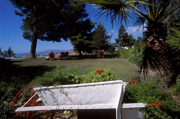 zobacz camping - zdjęcie 2