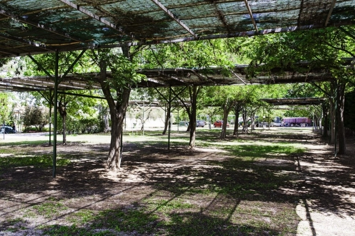 Campsite Erodios - zdjęcie 2