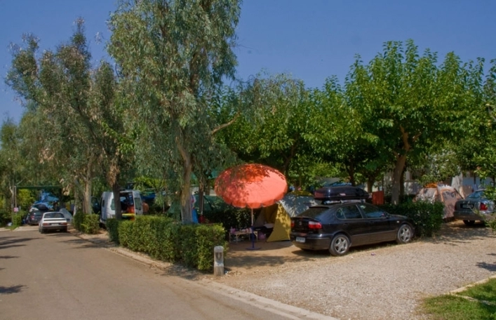 zobacz camping - zdjęcie 10