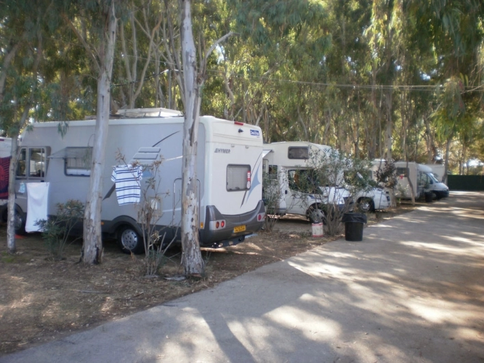 zobacz camping - zdjęcie 12