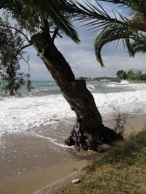 zobacz camping - zdjęcie 4