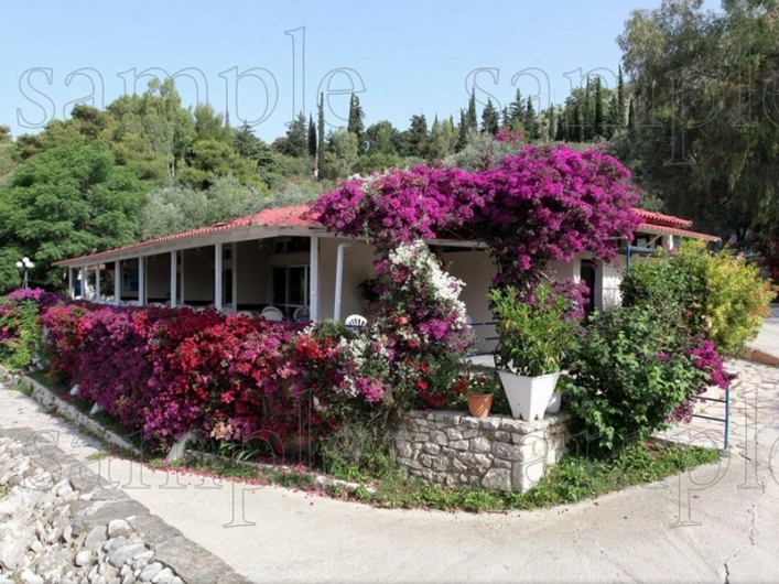 zobacz camping - zdjęcie 5