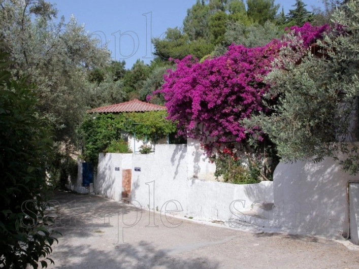 zobacz camping - zdjęcie 4