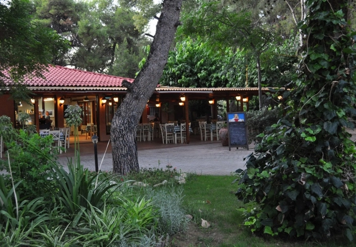 zobacz camping - zdjęcie 35