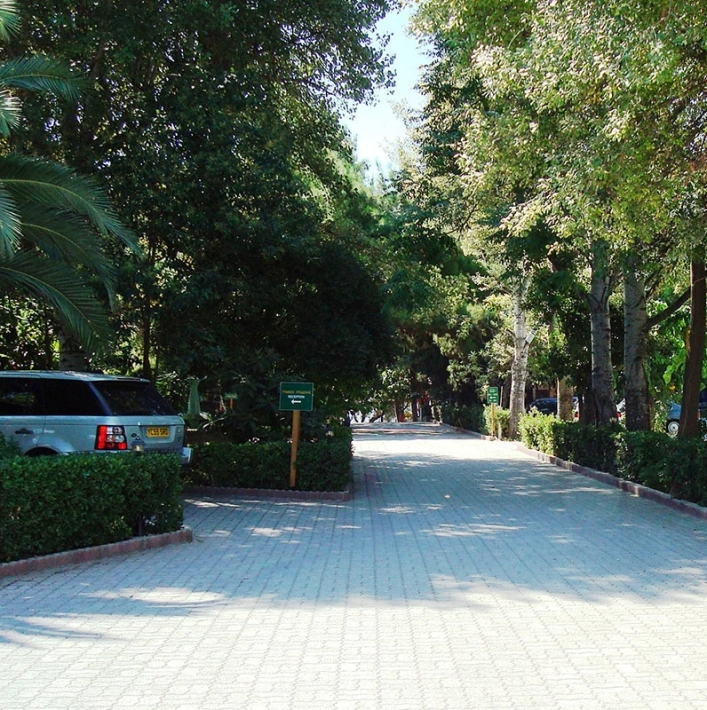 zobacz camping - zdjęcie 31