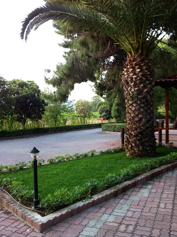 zobacz camping - zdjęcie 15