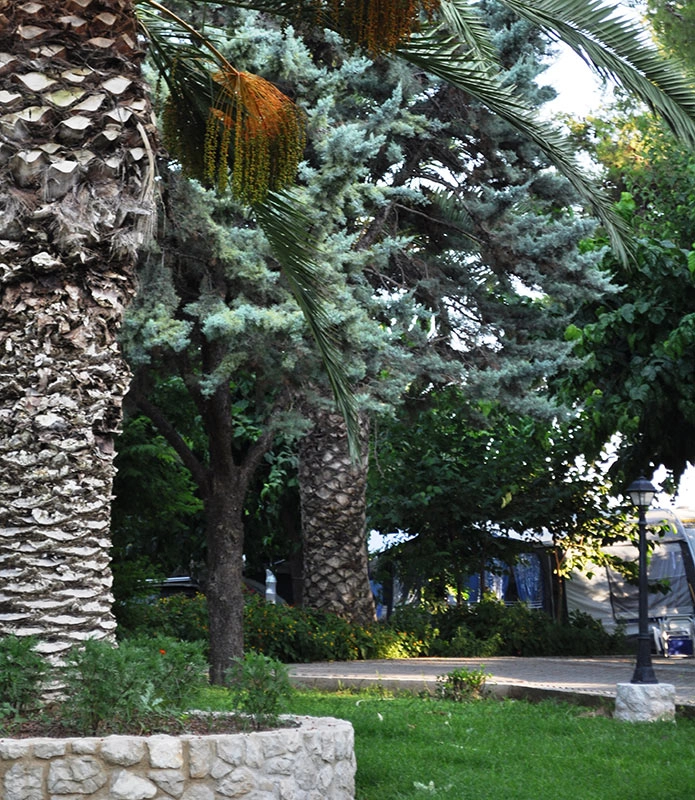 zobacz camping - zdjęcie 12