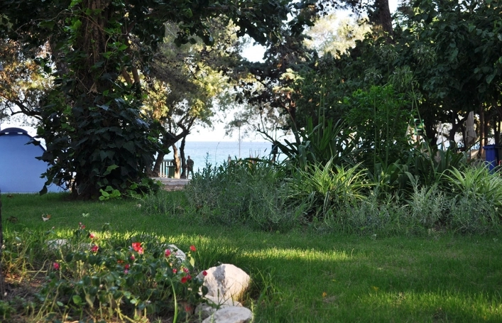 Campsite Kastraki - zdjęcie 1