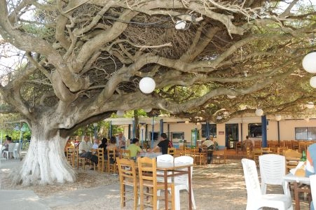 zobacz camping - zdjęcie 9