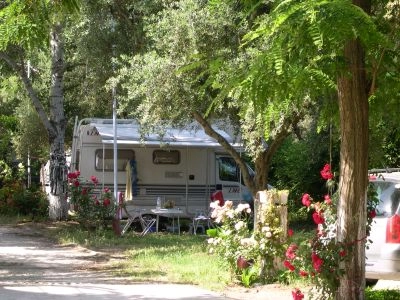 Campsite Kato Alissos - zdjęcie 3