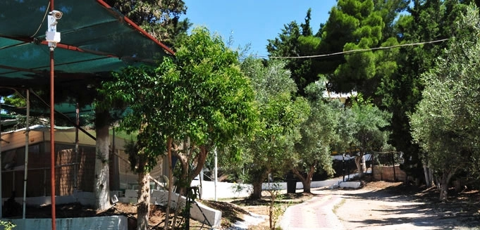 zobacz camping - zdjęcie 34