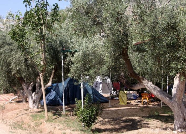 zobacz camping - zdjęcie 28