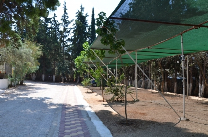 zobacz camping - zdjęcie 19