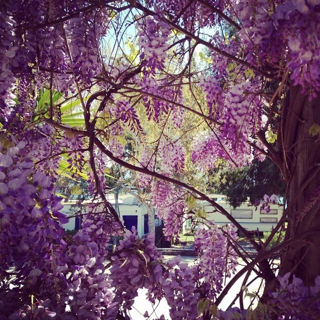 zobacz camping - zdjęcie 20