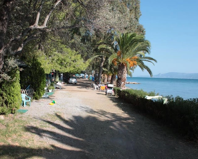 zobacz camping - zdjęcie 9