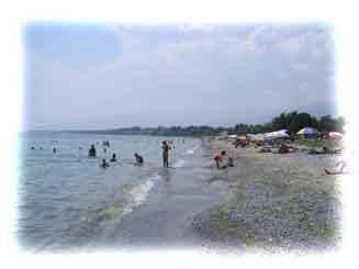 zobacz camping - zdjęcie 10