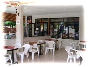 Campsite Mitikas - zdjęcie 4