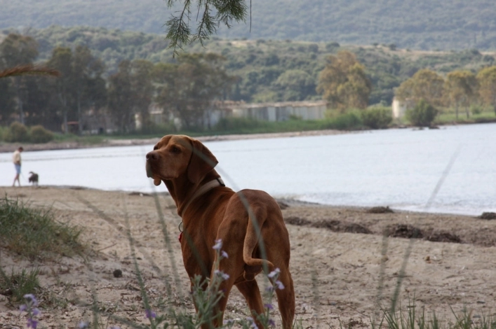 zobacz camping - zdjęcie 13