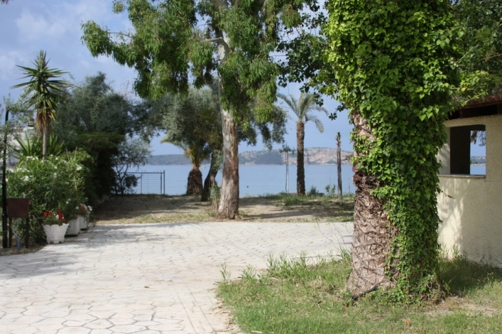 zobacz camping - zdjęcie 6