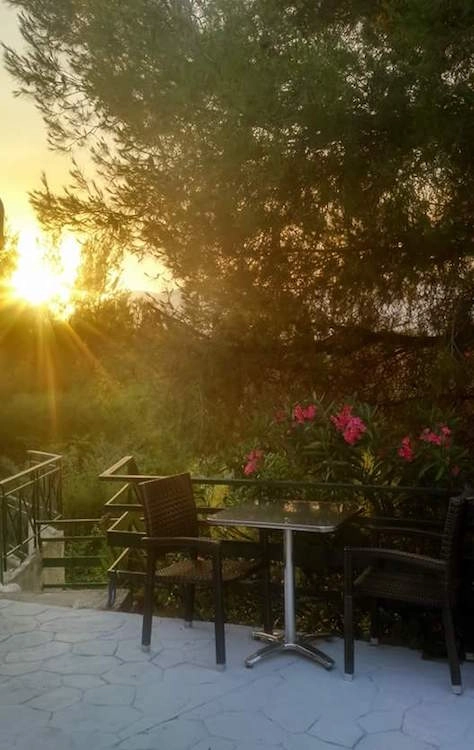 zobacz camping - zdjęcie 19