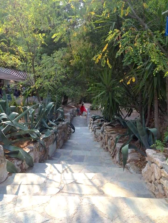 zobacz camping - zdjęcie 16