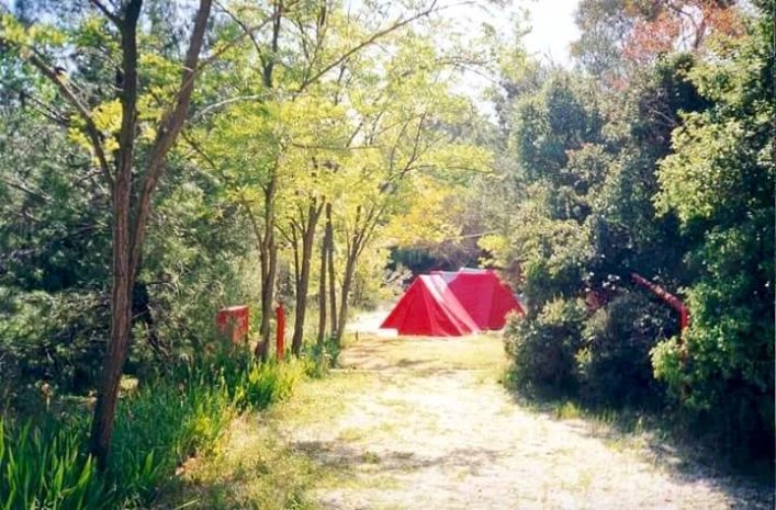 zobacz camping - zdjęcie 10