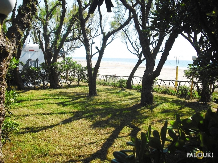 zobacz camping - zdjęcie 23