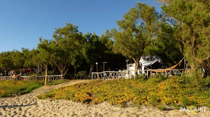 zobacz camping - zdjęcie 18