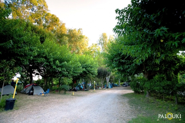 zobacz camping - zdjęcie 17