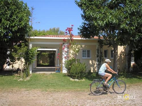 zobacz camping - zdjęcie 15