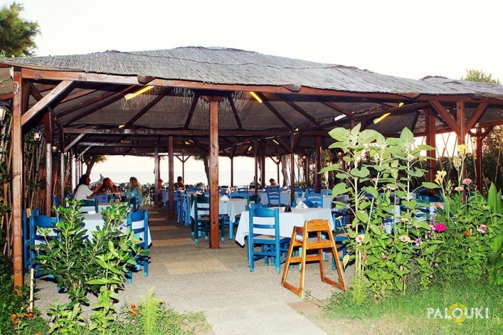 zobacz camping - zdjęcie 12