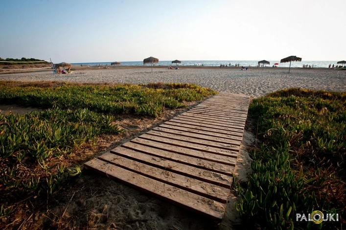 zobacz camping - zdjęcie 10