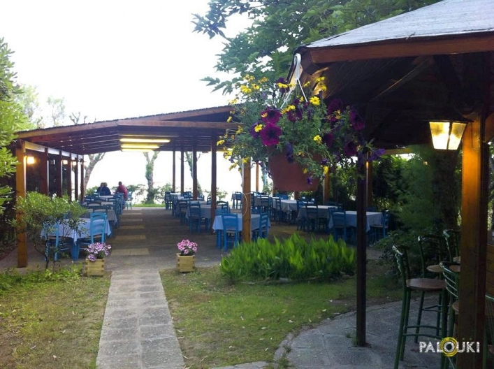 zobacz camping - zdjęcie 9