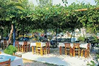 zobacz camping - zdjęcie 10