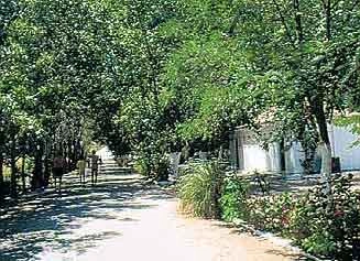 zobacz camping - zdjęcie 9